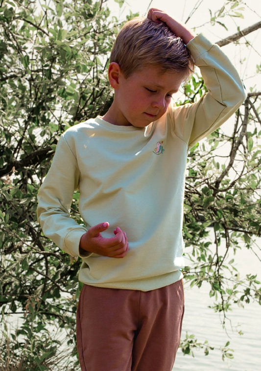 Sweatshirt Hellgrün aus Baumwolle